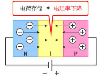 6381453595443609752549936