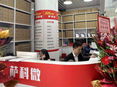 6381575371710150691294263