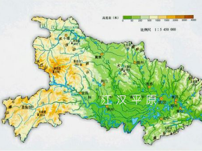 6383699256782644008603063