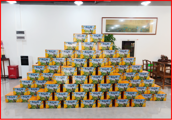 20d732f2-43f0-45d9-a4f5-049fee4cdbc2